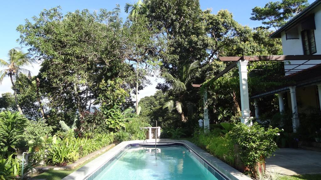 Strathisla Tea Estate Bungalow Matale Luaran gambar