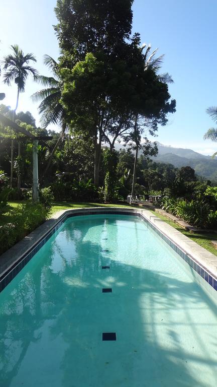 Strathisla Tea Estate Bungalow Matale Luaran gambar
