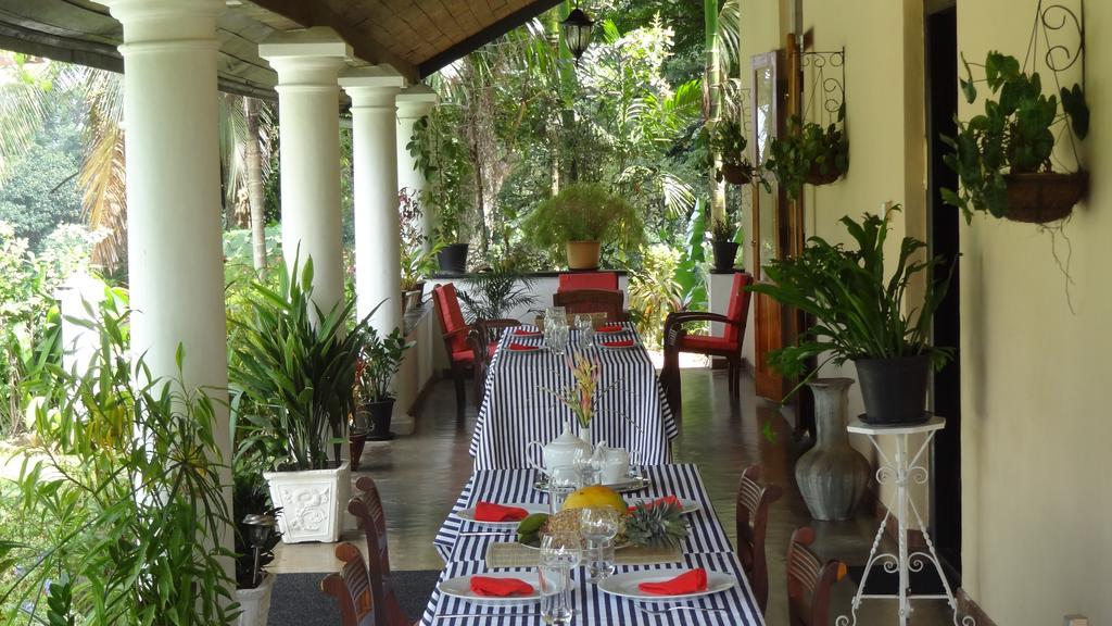 Strathisla Tea Estate Bungalow Matale Luaran gambar