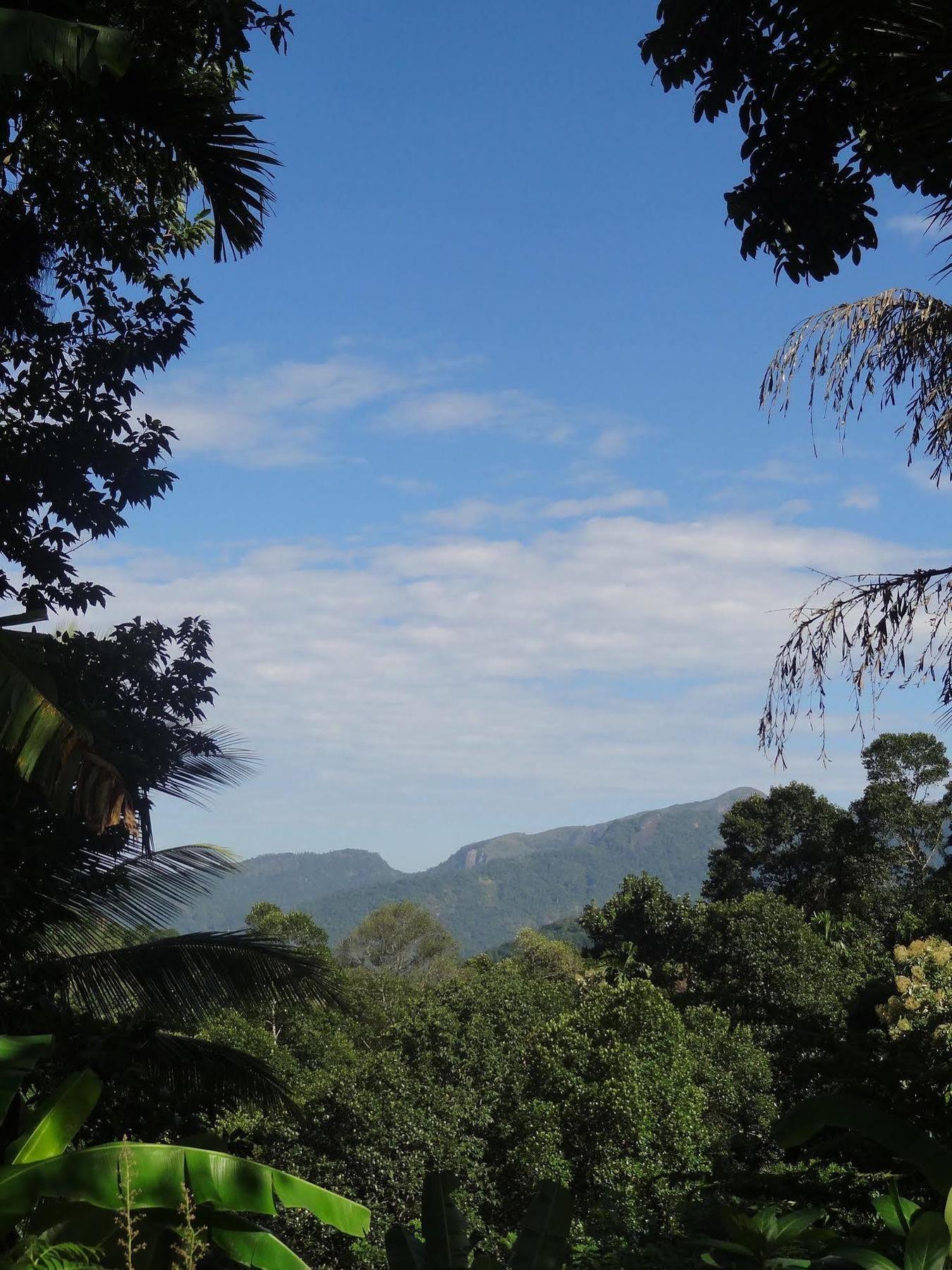 Strathisla Tea Estate Bungalow Matale Luaran gambar