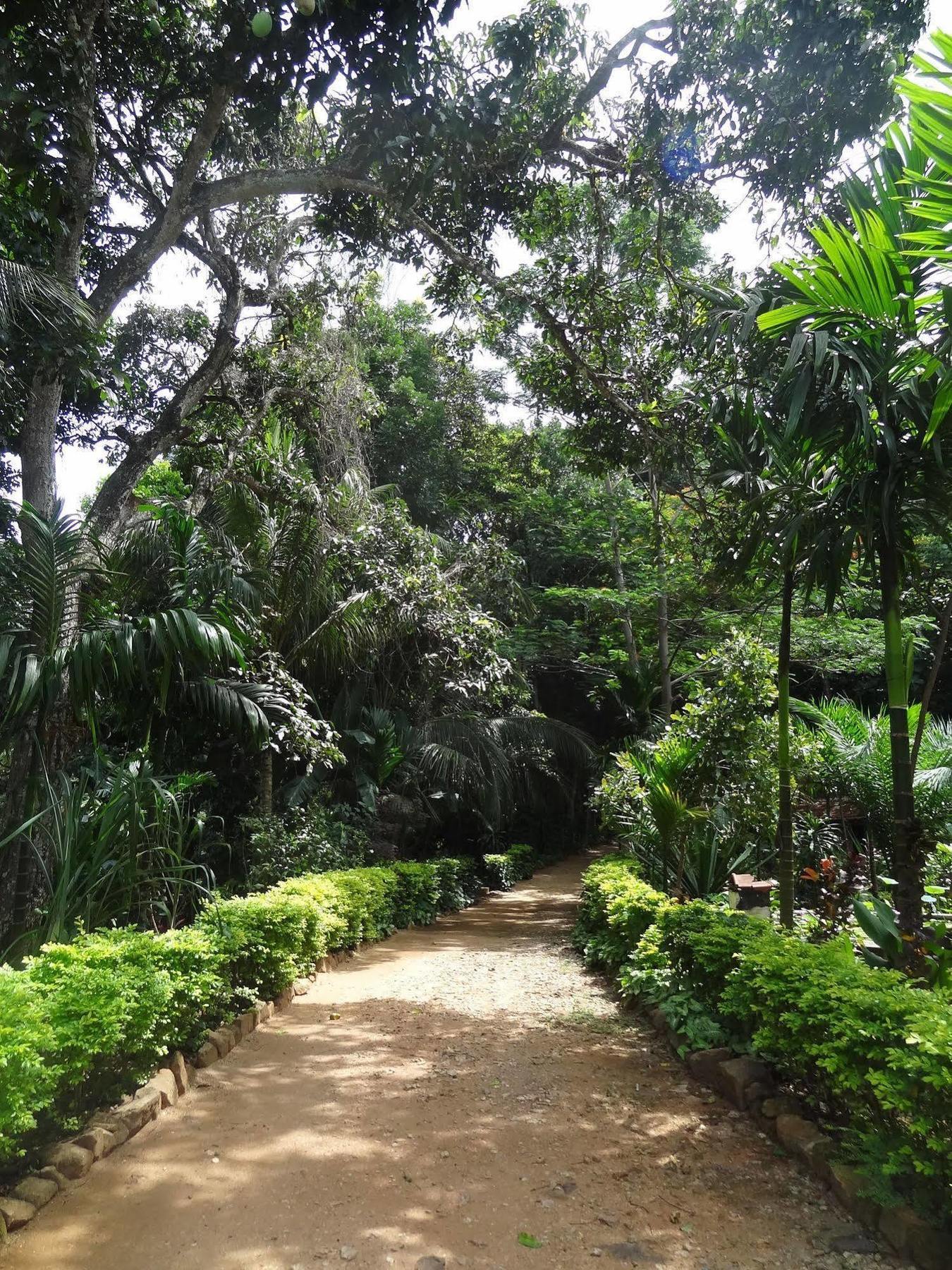Strathisla Tea Estate Bungalow Matale Luaran gambar