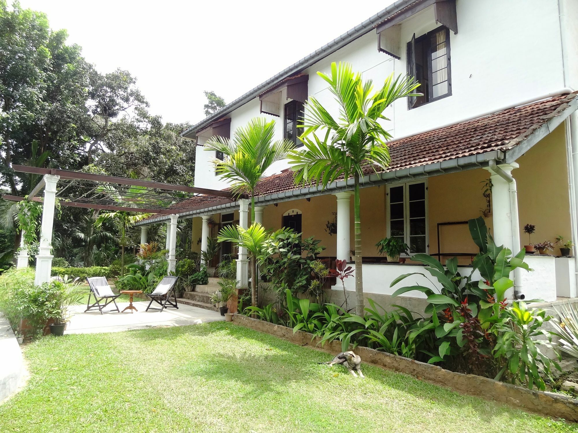 Strathisla Tea Estate Bungalow Matale Luaran gambar